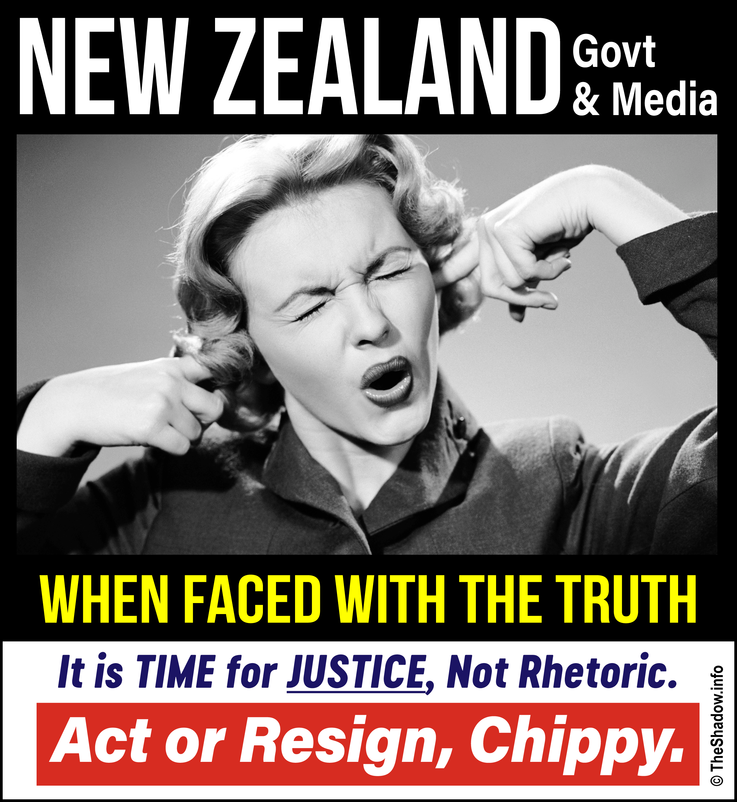 Deaf NZ 2 the shadow info meme