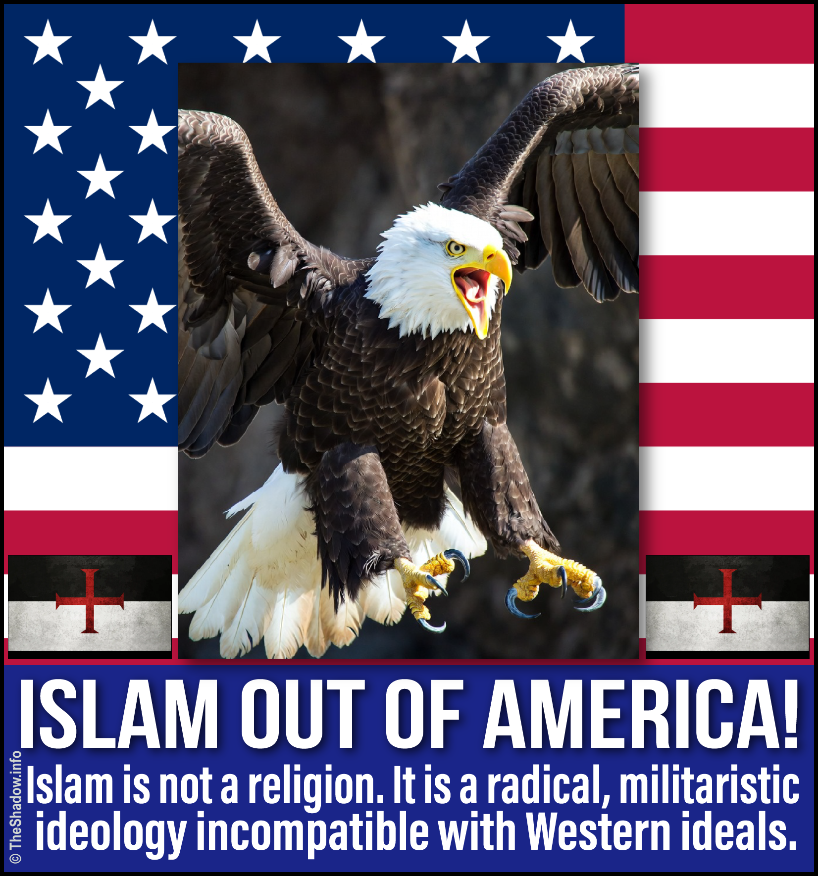 MAGA AUS shadow info memes