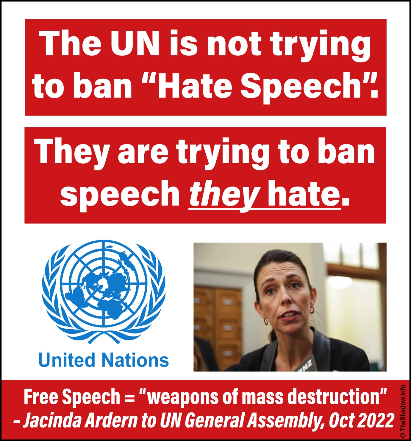 UN Hate Speech the shadow info meme 1480px