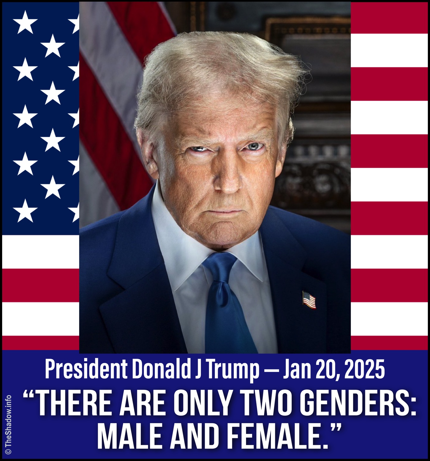 two genders TRUMP the shadow info meme 1480px